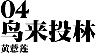 04 鸟来投林